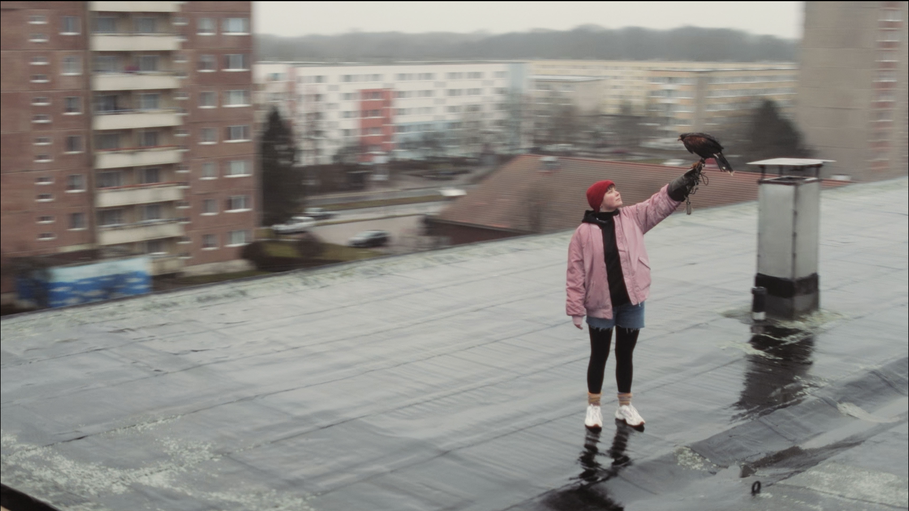 Feine Sahne Fischfilet – Kiddies im Block